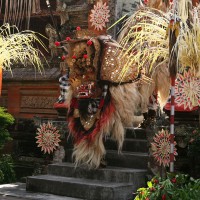 Op Bali is veel cultuur te vinden zoals o.a. traditionele Balinese dansen.